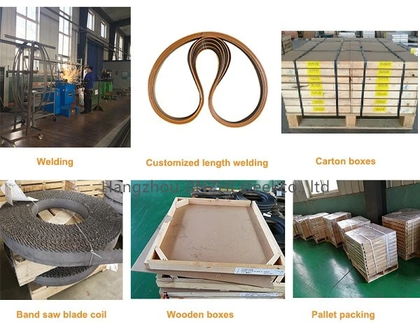 product-600-462 product-600-462