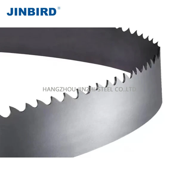 Stainless Steel Bandsaw